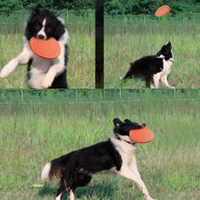 Load image into Gallery viewer, Pet Toy Flying Disc Pet Interactive Training Floating Water Bite-Resistant Soft Flying Disc, Orange, Black, Red, Purple, Blue, Yellow, Green