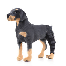 Load image into Gallery viewer, HJ19 Pet Surgery Rehabilitation Back Leg Protector Walking Aids, XS, S, M, L