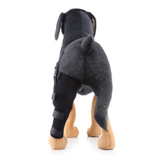Load image into Gallery viewer, HJ19 Pet Surgery Rehabilitation Back Leg Protector Walking Aids, XS, S, M, L