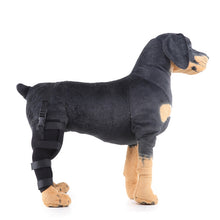 Load image into Gallery viewer, HJ19 Pet Surgery Rehabilitation Back Leg Protector Walking Aids, XS, S, M, L