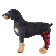Load image into Gallery viewer, HJ19 Pet Surgery Rehabilitation Back Leg Protector Walking Aids, XS, S, M, L