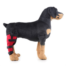 Load image into Gallery viewer, HJ19 Pet Surgery Rehabilitation Back Leg Protector Walking Aids, XS, S, M, L