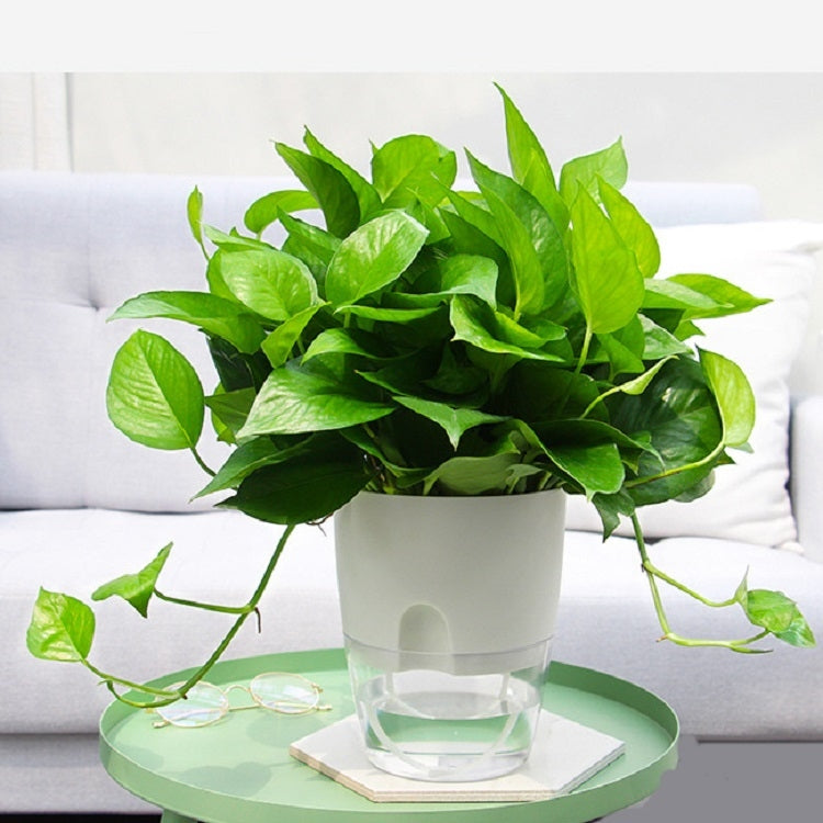 Transparent Plastic Double-Layer Water Storage Automatic Water-Absorbing Flowerpot, A703 Caliber 8.2cm, A705 Caliber 10.5cm, A707 Caliber 15.3cm, A709 Caliber 23.5cm