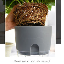 Load image into Gallery viewer, Transparent Plastic Double-Layer Water Storage Automatic Water-Absorbing Flowerpot, A703 Caliber 8.2cm, A705 Caliber 10.5cm, A707 Caliber 15.3cm, A709 Caliber 23.5cm
