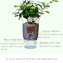Load image into Gallery viewer, Transparent Plastic Double-Layer Water Storage Automatic Water-Absorbing Flowerpot, A703 Caliber 8.2cm, A705 Caliber 10.5cm, A707 Caliber 15.3cm, A709 Caliber 23.5cm