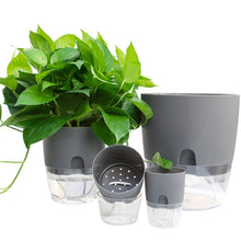 Load image into Gallery viewer, Transparent Plastic Double-Layer Water Storage Automatic Water-Absorbing Flowerpot, A703 Caliber 8.2cm, A705 Caliber 10.5cm, A707 Caliber 15.3cm, A709 Caliber 23.5cm