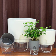 Load image into Gallery viewer, Transparent Plastic Double-Layer Water Storage Automatic Water-Absorbing Flowerpot, A703 Caliber 8.2cm, A705 Caliber 10.5cm, A707 Caliber 15.3cm, A709 Caliber 23.5cm