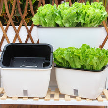 Load image into Gallery viewer, Family Balcony Rectangular Plastic Self-Absorbent Vegetable Growing Pot Flower Pot, Style:, SC01 Extra Large Pot, SC02 Big Pot