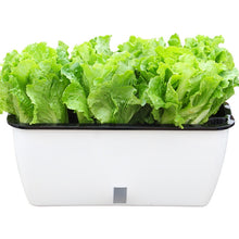 Load image into Gallery viewer, Family Balcony Rectangular Plastic Self-Absorbent Vegetable Growing Pot Flower Pot, Style:, SC01 Extra Large Pot, SC02 Big Pot