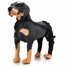 Load image into Gallery viewer, Pet Dog Leg Knee Guard Surgery Injury Protective Cover, XS, S, M