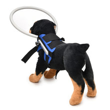 Load image into Gallery viewer, Dog Blindness Anti-Collision Ring Animal Protection Ring Cover Guide Ring, S, M