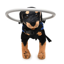Load image into Gallery viewer, Dog Blindness Anti-Collision Ring Animal Protection Ring Cover Guide Ring, S, M