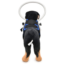 Load image into Gallery viewer, Dog Blindness Anti-Collision Ring Animal Protection Ring Cover Guide Ring, S, M
