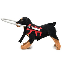 Load image into Gallery viewer, Dog Blindness Anti-Collision Ring Animal Protection Ring Cover Guide Ring, S, M
