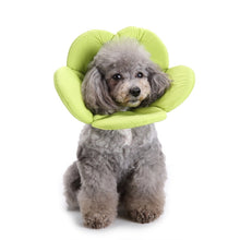 Load image into Gallery viewer, Pet Protection Collar Dog Flower Protection Collar, S, M, L