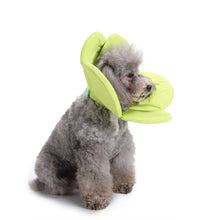 Load image into Gallery viewer, Pet Protection Collar Dog Flower Protection Collar, S, M, L