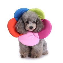 Load image into Gallery viewer, Pet Protection Collar Dog Flower Protection Collar, S, M, L