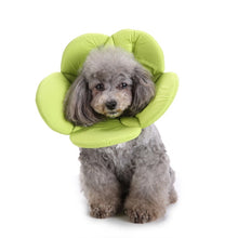 Load image into Gallery viewer, Pet Protection Collar Dog Flower Protection Collar, S, M, L