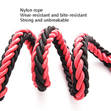 Load image into Gallery viewer, Dog Leash Braided Belt Pet Explosion-Proof Leash, Size:, M, L, XL
