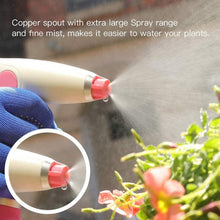 Load image into Gallery viewer, USB Electric Disinfection Sprayer Household Watering Can Bottle Automatic Alcohol Sprayer