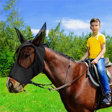 Load image into Gallery viewer, MMZ-001 Breathable Horse Mask Mosquito Insect And Fly Mask Equestrian Supplies