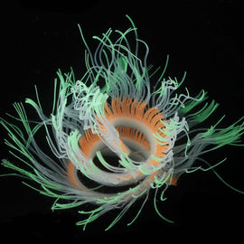Aquarium Fish Tank Landscaping Decoration Silica Gel Simulation Software Coral Fluorescent Anemone, Size:, 50cm, 75cm, 100cm