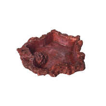 Load image into Gallery viewer, Little Red Food Bowl Reptile Water Food Basin Turtle Lizard Snake Water Basin, 3 PCS Little Red Food Bowl, 2 PCS Small Gray Food Bowl, 2 PCS Wood Pattern Food Bowl, 2 PCS Large Food Bowl