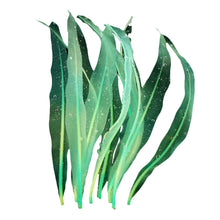 Load image into Gallery viewer, Aquarium Fish Tank Decoration Landscape Silicone Simulation Coral Artificial Kelp Landscape Decoration, Size:, HZ007 18cm Small, HZ006 25cm Medium, HZ005 43cm Large