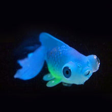 Load image into Gallery viewer, Night Light Simulation Fish Tank Decorations Environmentally Friendly Silicone Colorful Fish, 1 Red Betta, 2 Brown Betta, 3 Blue Betta, 4 Blue Goldfish, 5 Red Goldfish, 6 Brown Goldfish
