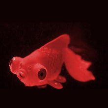 Load image into Gallery viewer, Night Light Simulation Fish Tank Decorations Environmentally Friendly Silicone Colorful Fish, 1 Red Betta, 2 Brown Betta, 3 Blue Betta, 4 Blue Goldfish, 5 Red Goldfish, 6 Brown Goldfish