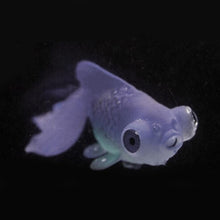 Load image into Gallery viewer, Night Light Simulation Fish Tank Decorations Environmentally Friendly Silicone Colorful Fish, 1 Red Betta, 2 Brown Betta, 3 Blue Betta, 4 Blue Goldfish, 5 Red Goldfish, 6 Brown Goldfish