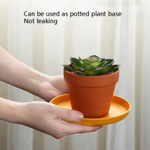 Load image into Gallery viewer, 5pcs Home 6 Inch Small Dish Plastic Snack Cake Dish Dining Table Garbage Tray