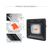 Load image into Gallery viewer, Ultra-Thin LED Plant Light, Full Spectrum COB Growth Light, Vegetable, Fruit &amp; Flower Greenhouse Fill Light With Plug, 50W UK Plug, 100W UK Plug, 150W UK Plug, 50W US Plug, 100W US Plug, 150W US Plug, 50W EU Plug, 100W EU Plug, 150W EU Plug, 50W AU Plu...