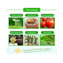 Load image into Gallery viewer, Ultra-Thin LED Plant Light, Full Spectrum COB Growth Light, Vegetable, Fruit &amp; Flower Greenhouse Fill Light With Plug, 50W UK Plug, 100W UK Plug, 150W UK Plug, 50W US Plug, 100W US Plug, 150W US Plug, 50W EU Plug, 100W EU Plug, 150W EU Plug, 50W AU Plu...