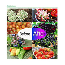 Load image into Gallery viewer, Ultra-Thin LED Plant Light, Full Spectrum COB Growth Light, Vegetable, Fruit &amp; Flower Greenhouse Fill Light With Plug, 50W UK Plug, 100W UK Plug, 150W UK Plug, 50W US Plug, 100W US Plug, 150W US Plug, 50W EU Plug, 100W EU Plug, 150W EU Plug, 50W AU Plu...