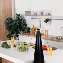Load image into Gallery viewer, Outdoor Multi-Function Fan Leaf Fly Repeller Automatic Fly Trap Mosquito Repellent Fan