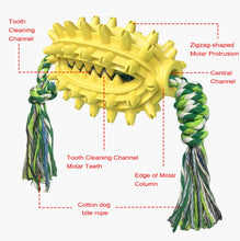 Load image into Gallery viewer, Dog Toy With Rope Prickly Pear Molar Stick Dog Toothbrush, Lake Blue, Green, Yellow