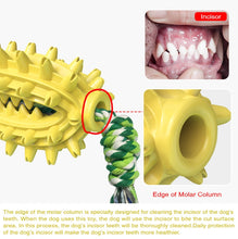 Load image into Gallery viewer, Dog Toy With Rope Prickly Pear Molar Stick Dog Toothbrush, Lake Blue, Green, Yellow