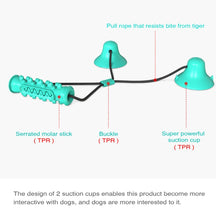 Load image into Gallery viewer, Dog Toy Double Suction Cup Pull Rope Molar Teeth Bite-Resistant Tooth Cleaning Stick Pet Supplies, Lake Blue, Green