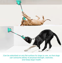 Load image into Gallery viewer, Dog Toy Double Suction Cup Pull Rope Molar Teeth Bite-Resistant Tooth Cleaning Stick Pet Supplies, Lake Blue, Green