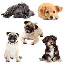 Load image into Gallery viewer, 3D Simulation Dog Car Stickers Rain-Proof Sunscreen Car Sticker Scratch Shaving Decoration Stickers, Style 1 Small, Style 2 Small, Style 3 Small, Style 4 Small, Style 5 Small, Style 1 Large, Style 2 Large, Style 3 Large, Style 4 Large, Style 5 Large