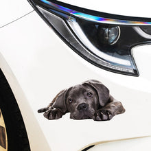 Load image into Gallery viewer, 3D Simulation Dog Car Stickers Rain-Proof Sunscreen Car Sticker Scratch Shaving Decoration Stickers, Style 1 Small, Style 2 Small, Style 3 Small, Style 4 Small, Style 5 Small, Style 1 Large, Style 2 Large, Style 3 Large, Style 4 Large, Style 5 Large