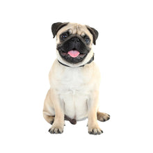 Load image into Gallery viewer, 3D Simulation Dog Car Stickers Rain-Proof Sunscreen Car Sticker Scratch Shaving Decoration Stickers, Style 1 Small, Style 2 Small, Style 3 Small, Style 4 Small, Style 5 Small, Style 1 Large, Style 2 Large, Style 3 Large, Style 4 Large, Style 5 Large