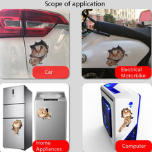 Load image into Gallery viewer, 3D Stereo Cat Car Sticker Car Body Scratches And Occlusion Stickers, Style 1 Small, Style 2 Small, Style 3 Small, Style 4 Small, Style 1 Large, Style 2 Large, Style 3 Large, Style 4 Large
