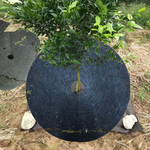 Load image into Gallery viewer, Ecological Anti-Grass Non-Woven Cloth Gardening Floor Cover Cloth Breathable Moisturizing Can Reduce Fruit Garden Film, 15x2cm, 25x3cm, 27x4cm, 32x4cm, 42x5cm, 52x6cm, 62x7cm, 72x8cm, 82x10cm