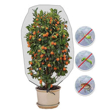 Load image into Gallery viewer, Plant Insect Cover Net With Drawstring Greenhouse Fruit Tree Bird Cover, 1x0.7m, 1x1.2m, 1x1.4m, 1.2x1.4m, 1x1.5m