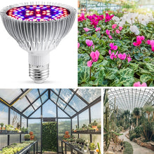 Load image into Gallery viewer, E27150W 200 Lamp Beads LED Plant Growth Lamp Plant Fill Light, Full-Spectral, Sun Light