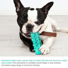 Load image into Gallery viewer, Dog Molar Stick Sound Bite Leakage Dog Toothbrush, Blue, Green, Yellow