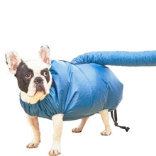 Load image into Gallery viewer, Pet Dog Blower Cat Bathing Drying Box, S, M, L, XL