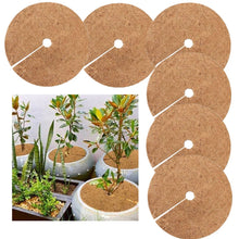Load image into Gallery viewer, 6 PCS/Set Plant Root Antifreeze Flowerpot Coconut Palm Flat Mat, Size:, 20cm, 30cm